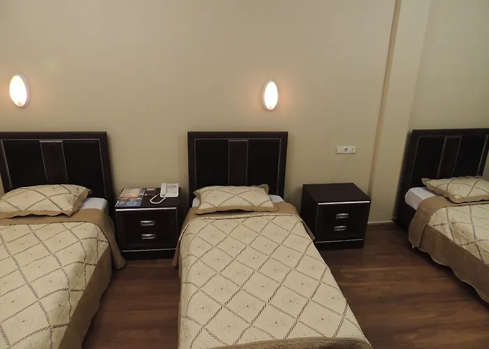 أضنة سراي 3*