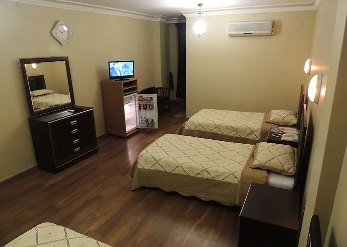 أضنة سراي 3*