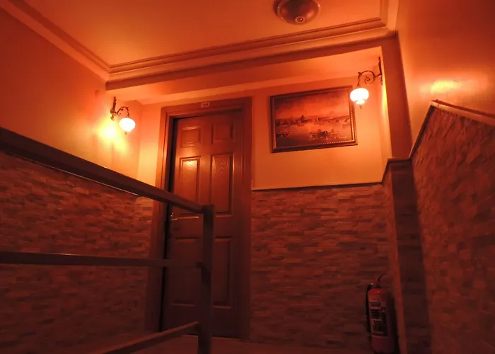 فندق أضنة سراي 3*